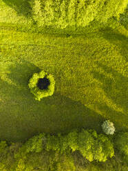 Luftaufnahme von oben einer Wiese mit Wasserloch und Bäumen, Windhorst, Mantinge, Drenthe, Niederlande. - AAEF20797
