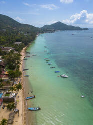 Aerial view of Sairee beach on Ko Tao island, Thailand. - AAEF20828