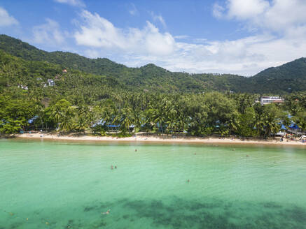 Aerial view of Sairee beach on Ko Tao island, Thailand. - AAEF20830