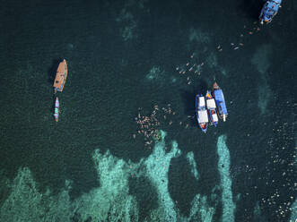 Aerial view of group snorkeling and swimming in transparent sea in shark bay on Ko Tao island, Thailand. - AAEF20852