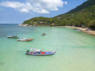 Aerial view of longtail boat on Sairee beach on Ko Tao island, Thailand. - AAEF20855