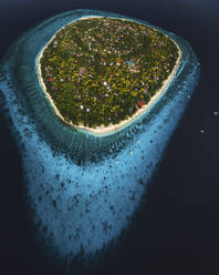 Aerial view of Balicasag Island, Bohol, Philippines. - AAEF20954