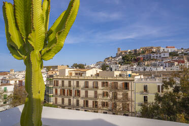 Elevated view of Cathedral, Vara de Rei Square and Dalt Vila, UNESCO World Heritage Site, Ibiza Town, Eivissa, Balearic Islands, Spain, Mediterranean, Europe - RHPLF26338