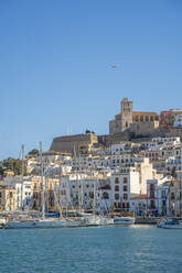 View of Dalt Vila and Cathedral from harbour, UNESCO World Heritage Site, Ibiza Town, Eivissa, Balearic Islands, Spain, Mediterranean, Europe - RHPLF26351