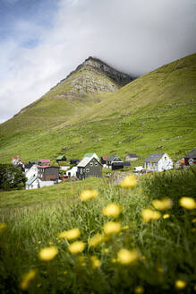 Traditional houses in the small village of Kunoy in the flowering meadows, Kunoy Island, Faroe Islands, Denmark, Europe - RHPLF26429