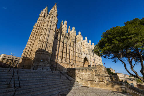 Cathedral of Palma, Mallorca, Balearic Islands, Spain, Mediterranean, Europe - RHPLF26528
