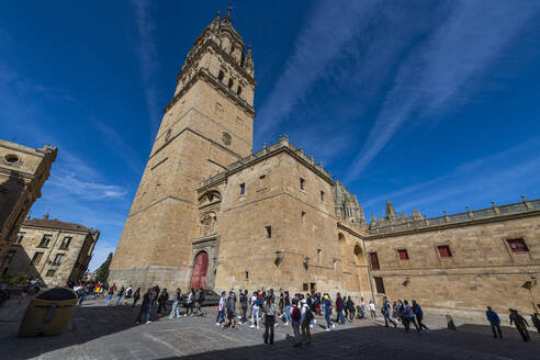 Salamanca Cathedral, Salamanca, UNESCO World Heritage Site, Castile and Leon, Spain, Europe - RHPLF26595