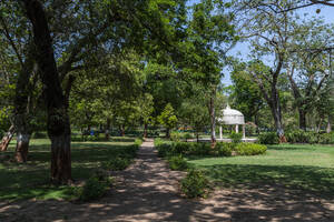 Law Garden, Ahmedabad, Gujarat, India, Asia - RHPLF26623