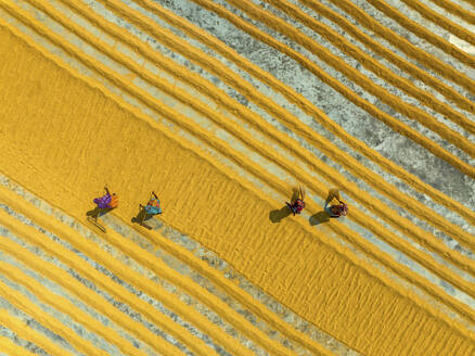 Aerial view of people working in a rice mill field, Dhamrai, Dhaka, Bangladesh. - AAEF20979