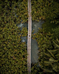 Aerial view of a person on a footbridge path crossing a lagoon with forest, Cebu, Philippines. - AAEF21004