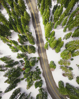 Aerial view of the snowy Yuba Pass and its forest, California, United States. - AAEF21327