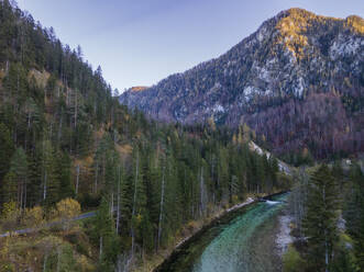 Aerial drone view of Salza River with a mountain peak in the background on a fall day under a clear sky surrounded by a forest, Wildalpen, Styria, Austria. - AAEF21411