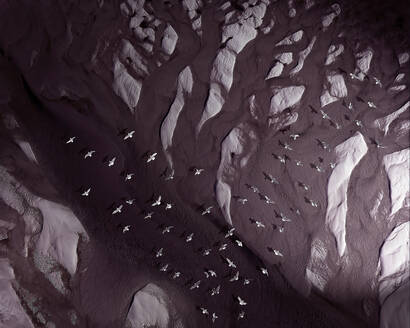 Aerial view of a flock of seagulls parting ways over a semi dried section of beach in Southampton - AAEF21429