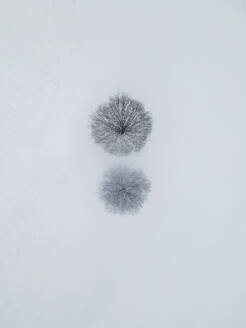 Aerial view of snowy tree tops in Columbia, Maryland, United States. - AAEF21460