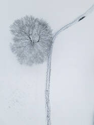 Aerial view of a snowy tree top and footprints along a parth in Columbia, Maryland, United States. - AAEF21461