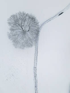 Aerial view of a snowy tree top and footprints along a parth in Columbia, Maryland, United States. - AAEF21461