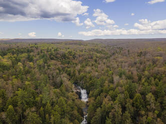Luftaufnahme der Muddy Creek Falls im Frühjahr in McHenry Maryland, Vereinigte Staaten. - AAEF21472