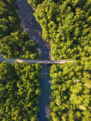 Aerial view of a bridge over the Youghiogheny River in McHenry Maryland, United States. - AAEF21514