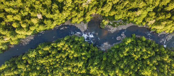 Luftaufnahme des Youghiogheny River in McHenry Maryland, Vereinigte Staaten. - AAEF21515