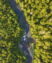 Luftaufnahme des Youghiogheny River in McHenry Maryland, Vereinigte Staaten. - AAEF21516