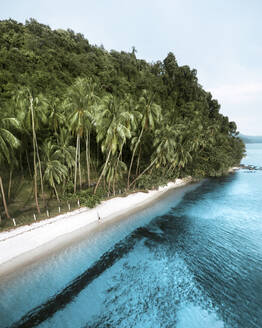 Aerial view of a person on tropical beach along the coast, Las Cabanas, El Nido, Palawan Philippines. - AAEF21525