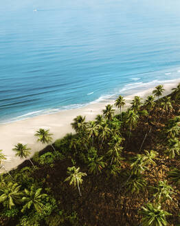 Aerial view of a person walking on the beach along the coast in San Vincente, Palawan, Philippines. - AAEF21534