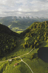 Drohnenaufnahme eines Sees, umgeben von üppigem grünen Gras, Grappelensee, Wildhaus, Laui, St. Gallen, Schweiz. - AAEF21550