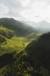 Drohnenaufnahme eines Sees, umgeben von üppigem grünen Gras, Grappelensee, Wildhaus, Laui, St. Gallen, Schweiz. - AAEF21557
