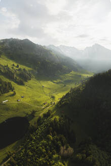 Drohnenaufnahme eines Sees, umgeben von üppigem grünen Gras, Grappelensee, Wildhaus, Laui, St. Gallen, Schweiz. - AAEF21557