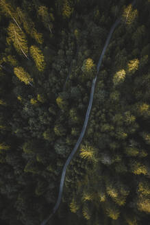 Aerial drone view a road crossing the forest, Eibsee, Flims, Graubunden, Switzerland. - AAEF21564