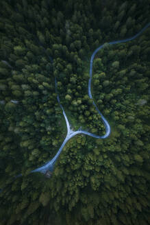Aerial drone view a road junction crossing the forest, Eibsee, Flims, Graubunden, Switzerland. - AAEF21566