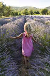Carefree girl walking in lavender field - SVKF01585