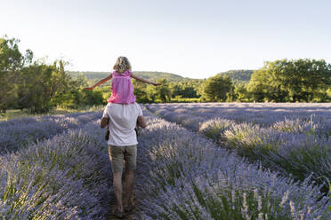 Father carrying daughter in lavender field - SVKF01590