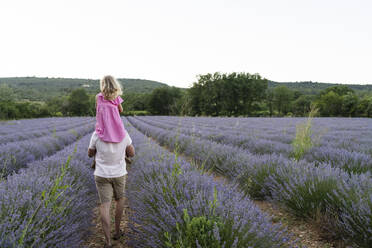 Man carrying daughter on shoulders and walking in lavender field - SVKF01597