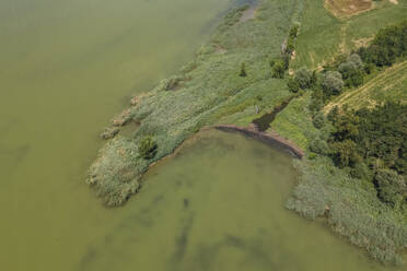 Luftaufnahme der Küstenlinie des Trasimenischen Sees mit wilder Vegetation, Perugia, Umbrien, Italien. - AAEF21648