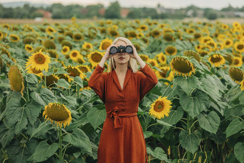 Frau, die durch ein Fernglas in einem Sonnenblumenfeld steht - VSNF01274