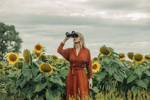 Frau im roten Kleid schaut durch ein Fernglas auf ein Sonnenblumenfeld - VSNF01275