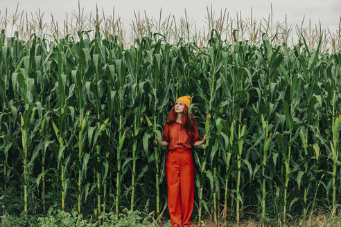 Frau mit Strickmütze steht inmitten von Maispflanzen - VSNF01288