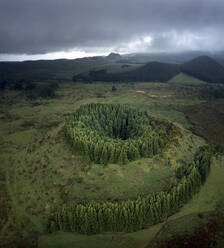 Aerial view of a volcano crater covered with forest trees on Ilha Terceira, Azores, Portugal. - AAEF21749