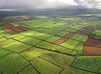 Aerial view of agricultural fields during a cloudy day in Ilha Terceira, Azores, Portugal. - AAEF21751