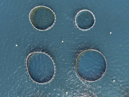 Aerial drone view of a fishing farm, Mahebourg, Mauritius, Indian Ocean. - AAEF21811