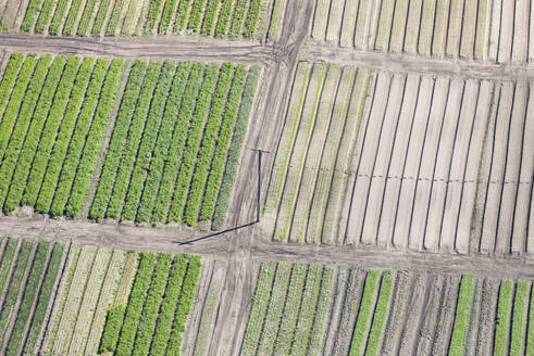 Luftaufnahme von landwirtschaftlichen Feldern in der Landschaft von Melbourne, Victoria, Australien. - AAEF21857