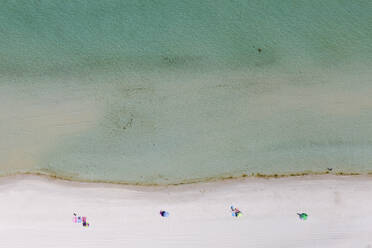 Aerial view of people on the beach with parasols under the sun, Melbourne, Victoria, Australia. - AAEF21876