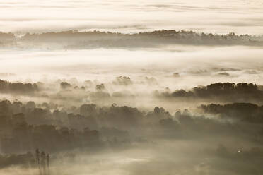 Aerial view of morning fog with low clouds at sunrise in Melbourne countryside, Victoria, Australia. - AAEF21883