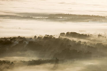 Aerial view of morning fog with low clouds at sunrise in Melbourne countryside, Victoria, Australia. - AAEF21884