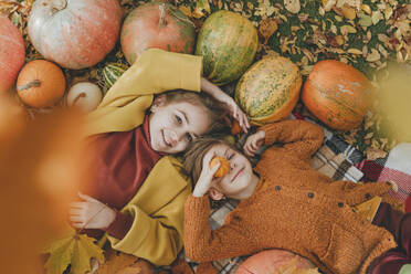 Smiling friends having fun on blanket in garden - YTF01048