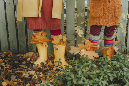 Friends standing in front of fence in garden - YTF01049