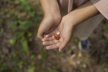 Girl holding mushroom in forest - LESF00414