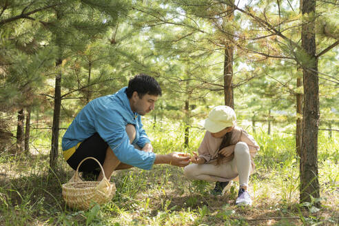 Father and daughter collecting mushrooms in forest - LESF00416