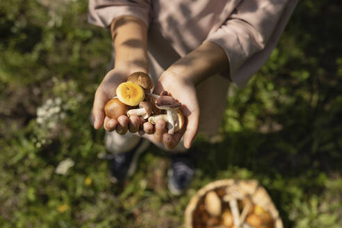 Girl holding mushrooms in forest - LESF00420